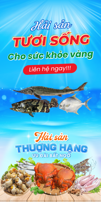 Hình ảnh về 