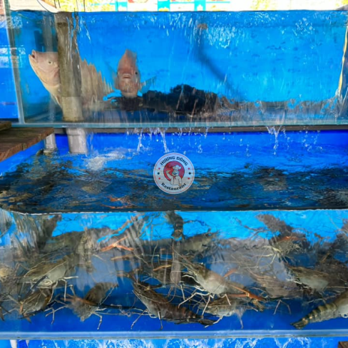 Hình ảnh về TÔM CÀNG 